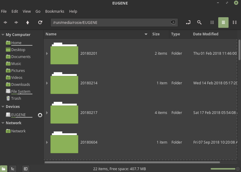 Linux File Explorer window showing file folders on EUGENE thumb drive.