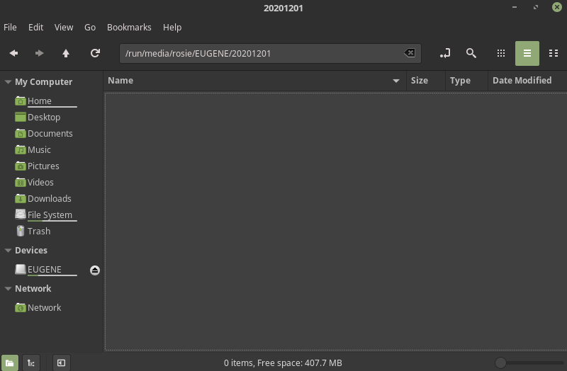Linux File Explorer window showing file folder 20201201 on EUGENE thumb drive - it is empty.